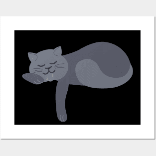 Funny Cat Asleep | British Shorthair Posters and Art